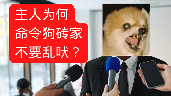 主人为何命令 傻狗疯狗 不要乱吠 (1)