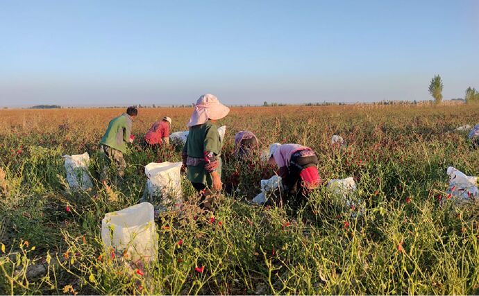 3-yi-migrant-workers_1500-ceb0aef4