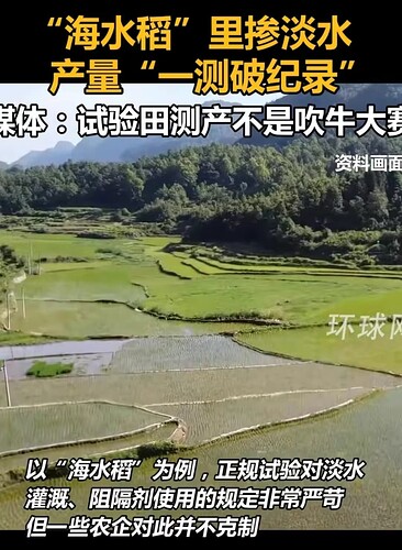 0194b5b88a7952edce702301f5682b8c(1)