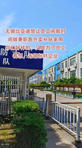 屏幕截图 2024-07-25 110758