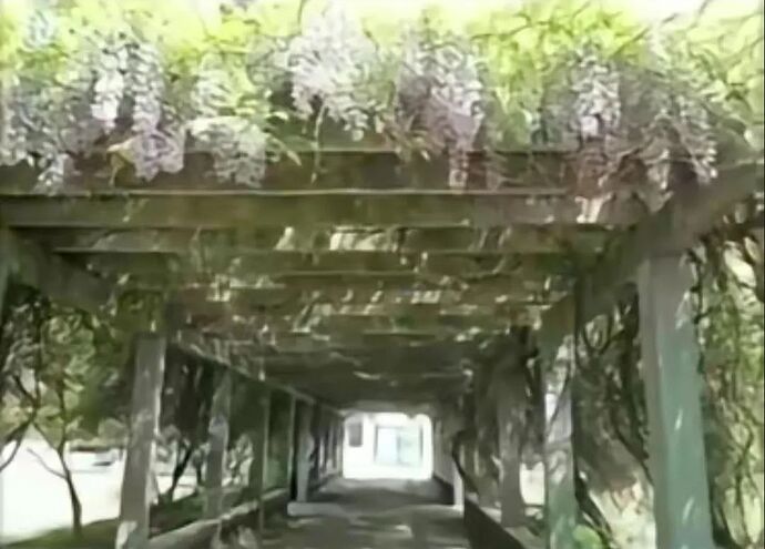 中式梦核