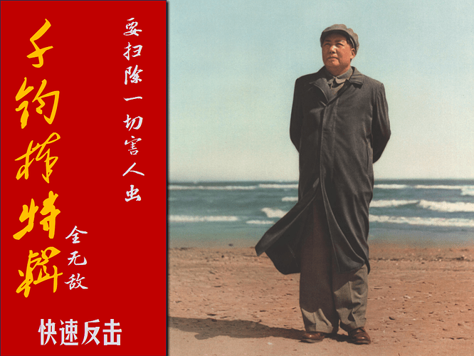 快速反击11