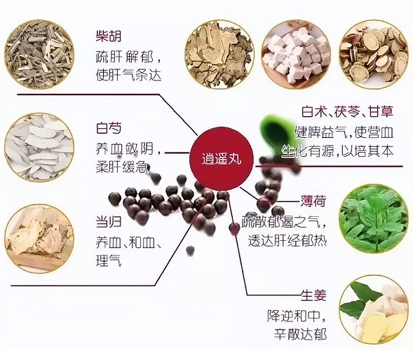 chixiaoyaowanbuhuizhengxiaoyao