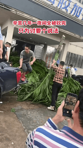 PNG图像