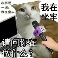 下载